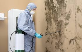 Best Mold Removal for HVAC Installations  in Powell, OH